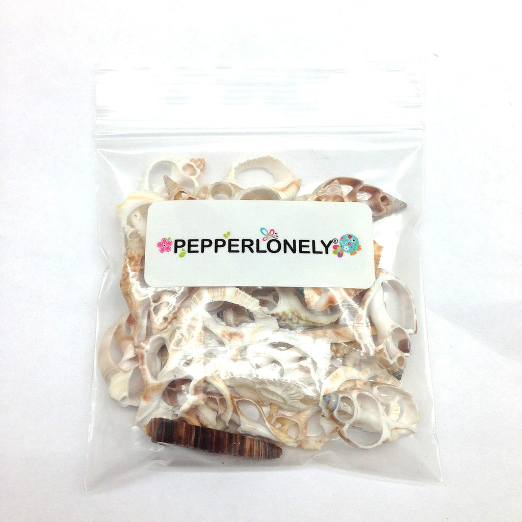 PEPPERLONELY 30PC Center Cut Assorted Mixed Small Sea Shells, 1 Inch ~ 1-1/2 Inch
