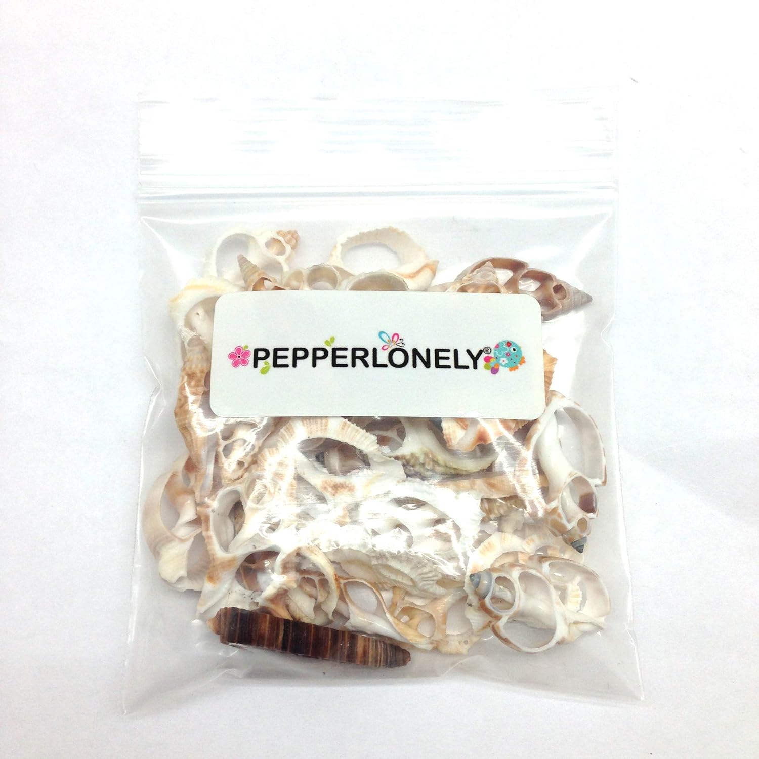 PEPPERLONELY 30PC Center Cut Assorted Mixed Small Sea Shells, 1 Inch ~ 1-1/2 Inch