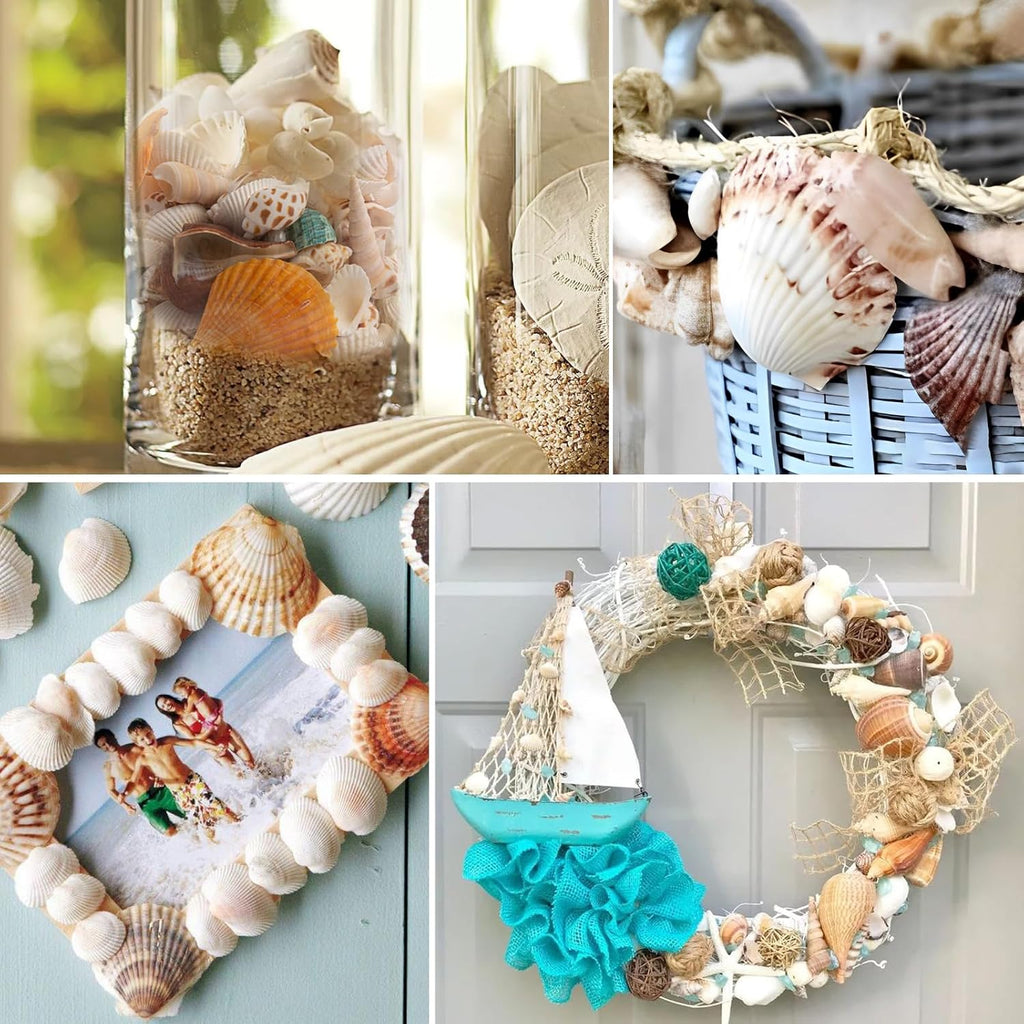 QEQEKAKA Sea Shells for Crafts - About 12 Kinds Beach Natural Mixed Seashells (0.4"-2") with Conch Shells | Fish Tank Decorations, Beach Party Supplies, Vase Fillers, Ocean Theme Home Wedding Decor