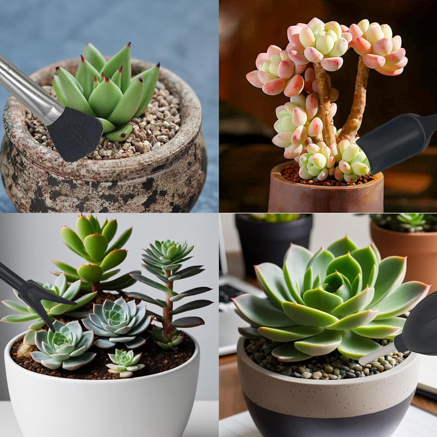13Pcs Succulent Tools Set Mini Garden Tool Kit Transplanting Tools for Succulent Care Miniature Gardening Plant Watering Houseplant