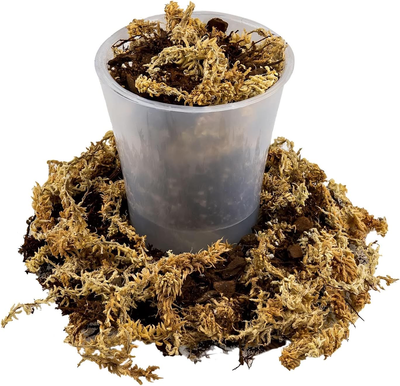 Gardenera Premium Orchid Mix by GARDENERA | Fern + New Zealand Pine Bark + Sphagnum Moss + Perlite | Best for Growing and Repotting Orchids - 2 Quart Bag