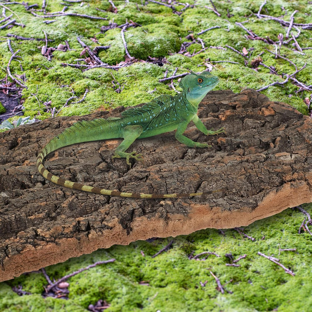 Kisangel 2Pcs Cork Bark Reptile Terrarium, 3D Natural Bark Backdrop - Background Climbing Mat for Lizard, Turtle, Gecko, Bearded Dragon