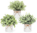 Mkono Fake Plants in Farmhouse Galvanized Metal Pots Table Centerpiece Rustic Home Decor, 3 Pack Potted Artificial Plants Faux Eucalyptus for Shelf Indoor Dining Room Office