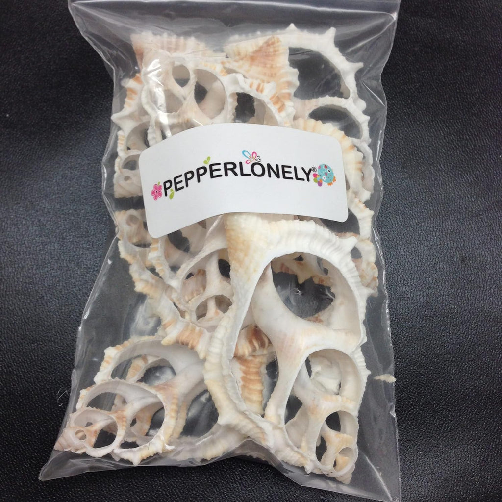 PEPPERLONELY 10 PC Center Cut Common Frog, Maple Leaf Sea Shells, 2 Inch ~ 2-1/2 Inch