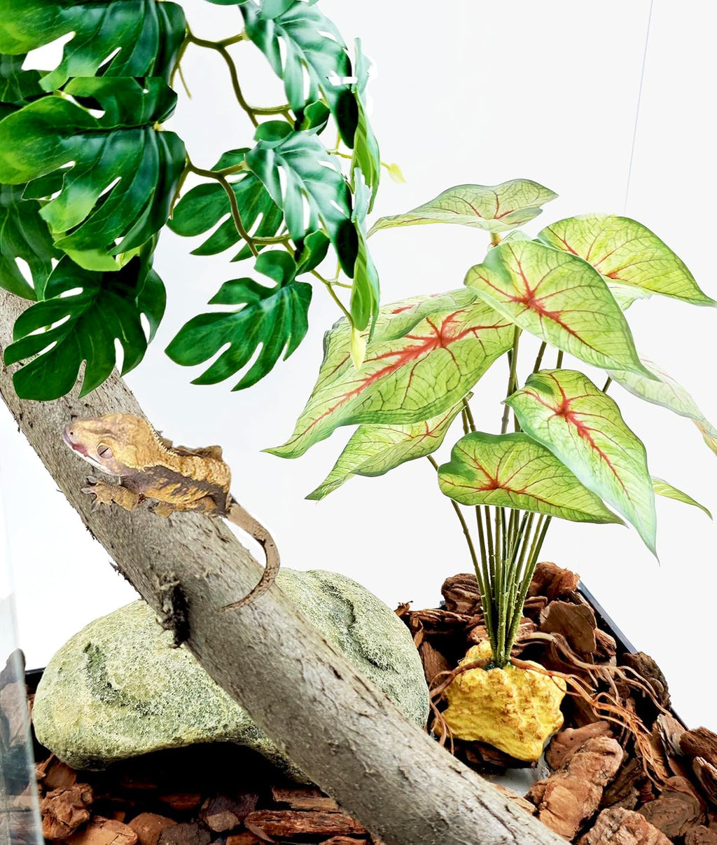 Woyrise Reptile Artificial Plants for Terrarium Decor, Amphibian Habitat Decorations Bearded Dragon Tank Accessories fit Crested Gecko Leopard Lizard Chameleon Ball Python Snake Frog - Fake Caladium