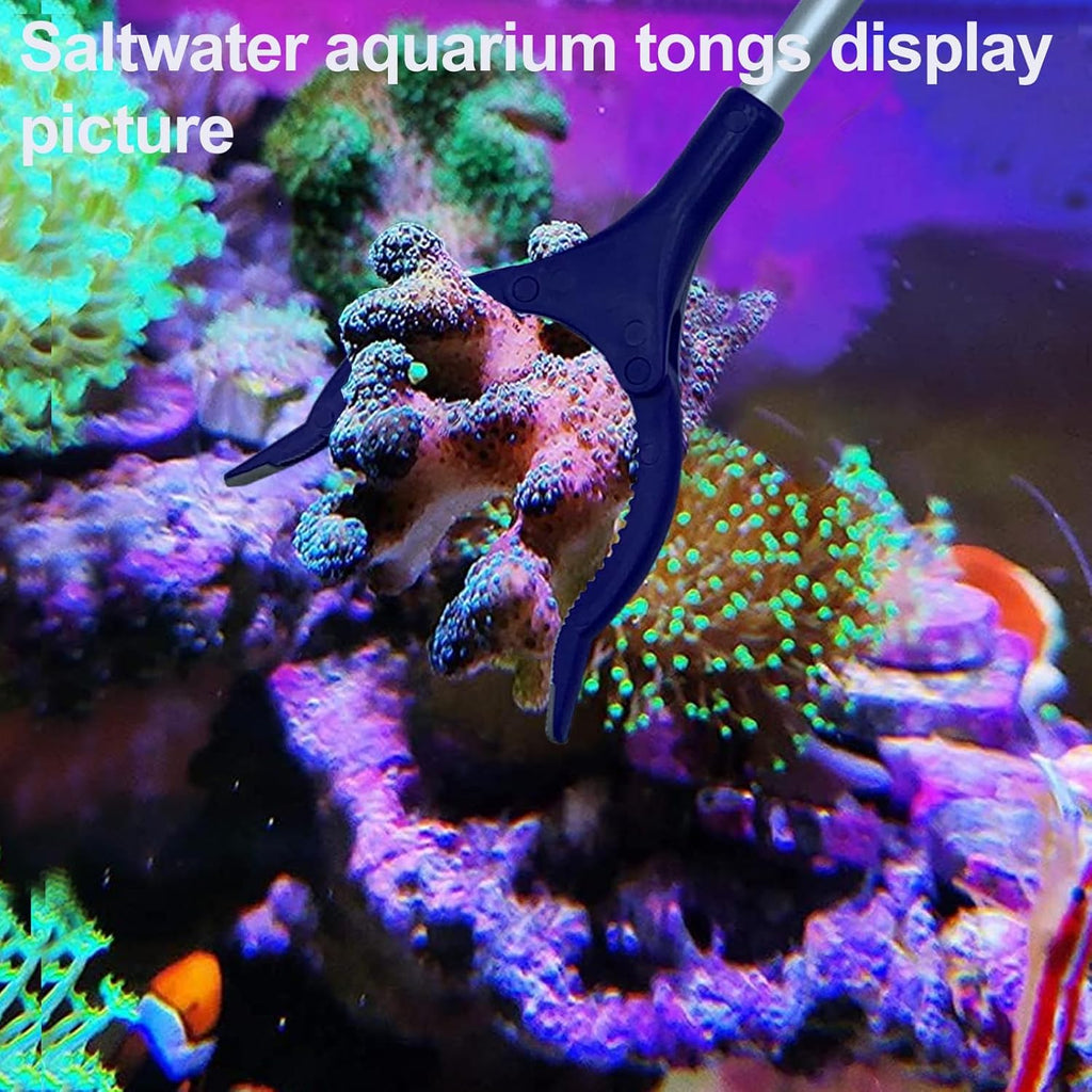 31.5Inch Long Corals Grabber,reefs Feeders,Aquarium Veggie Feedting Tool,Aquarium Food Clip Feeding(Long Reef Grabber and Coral Feeder Kits(Anti-Rust)