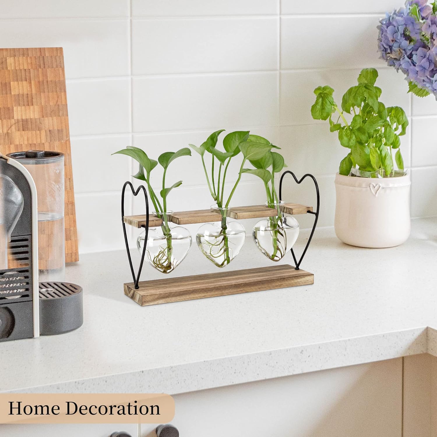 takfot Plant Propagation Station with Wood Stand, Terrarium Tabletop Glass Planter for Hydroponics Air Plants Home Decor, Plant Holder Lover for Mother Family Women 3 Heart Shaped Vase