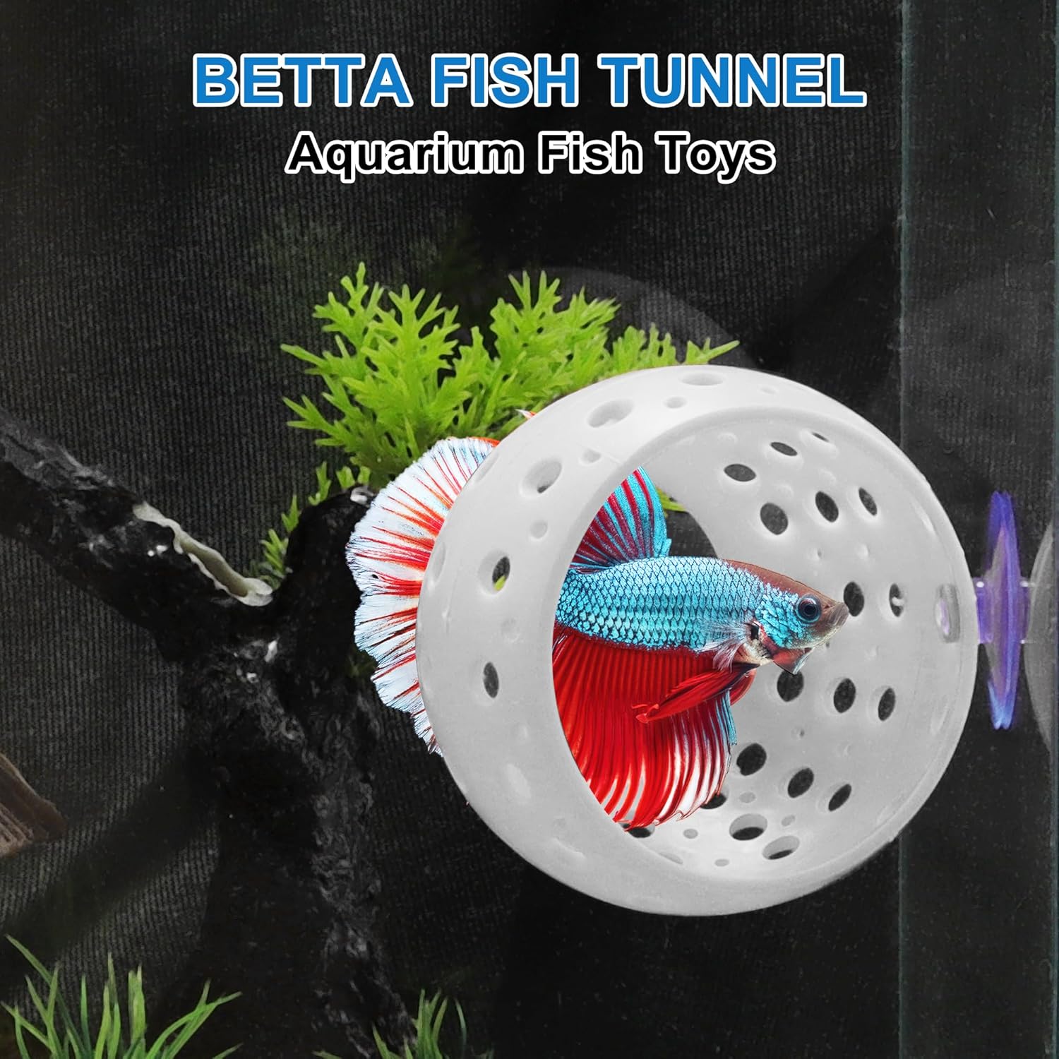 Betta Hideout Tunnel, Interactive Aquarium Decor, Aquarium Tunnel for Betta, Exciting Hiding Spot, White