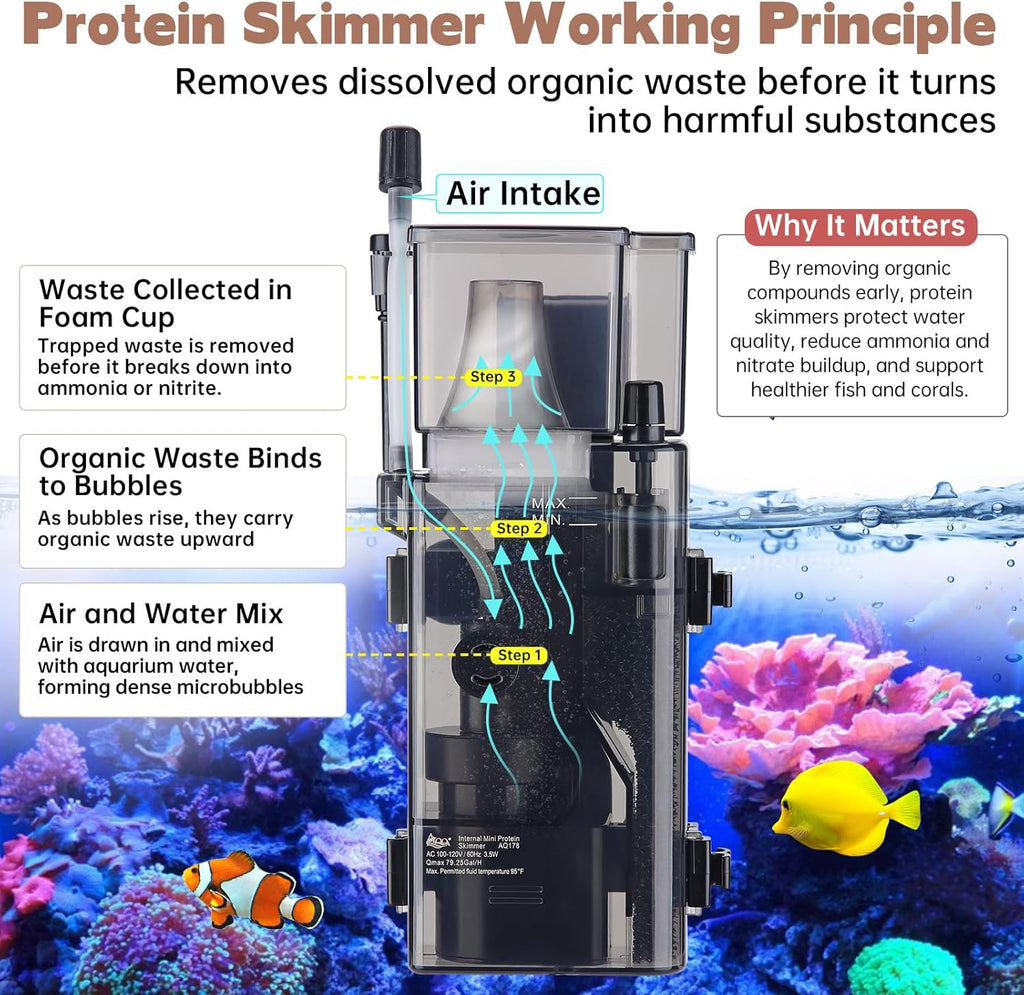AQQA Aquarium Protein Skimmer for Saltwater Fish Tank Nano Surface Skimmer Filter Pump 79GPH Ultra Quiet for 50-80 Gallon Tank