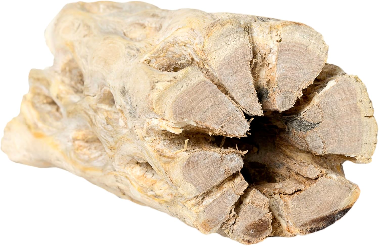 Galapagos 05270 Cholla Wood for Aquarium ,(pack of 3)