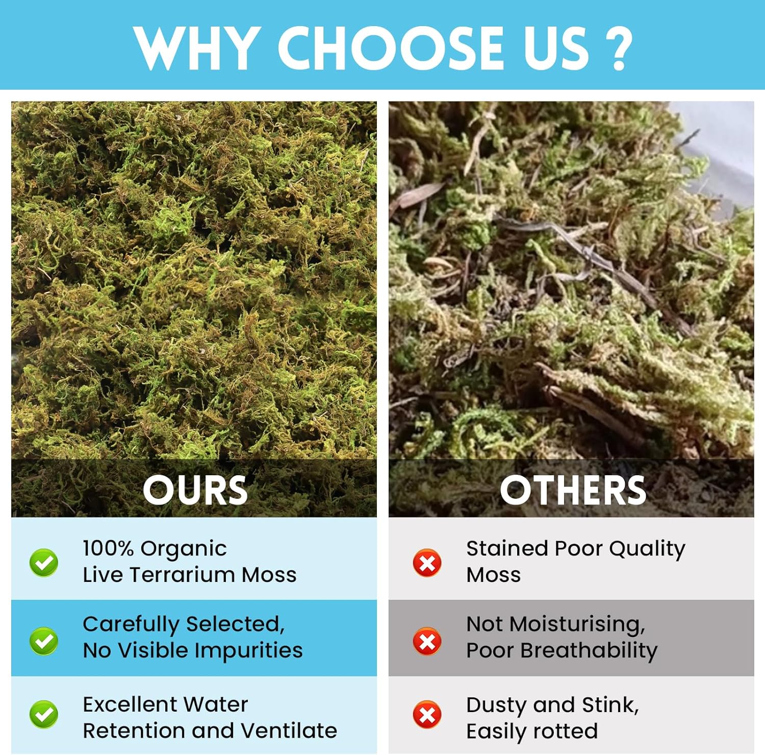 Riare 7 OZ Premium Sphagnum Moss for Reptiles- 10QT Natural Live Moss Reptile Moss Bedding for Terrarium, Hatching, Forest Sphagnum Moss Reptile Substrate for Snakes, Gecko, Turtles, Frogs, Leopard