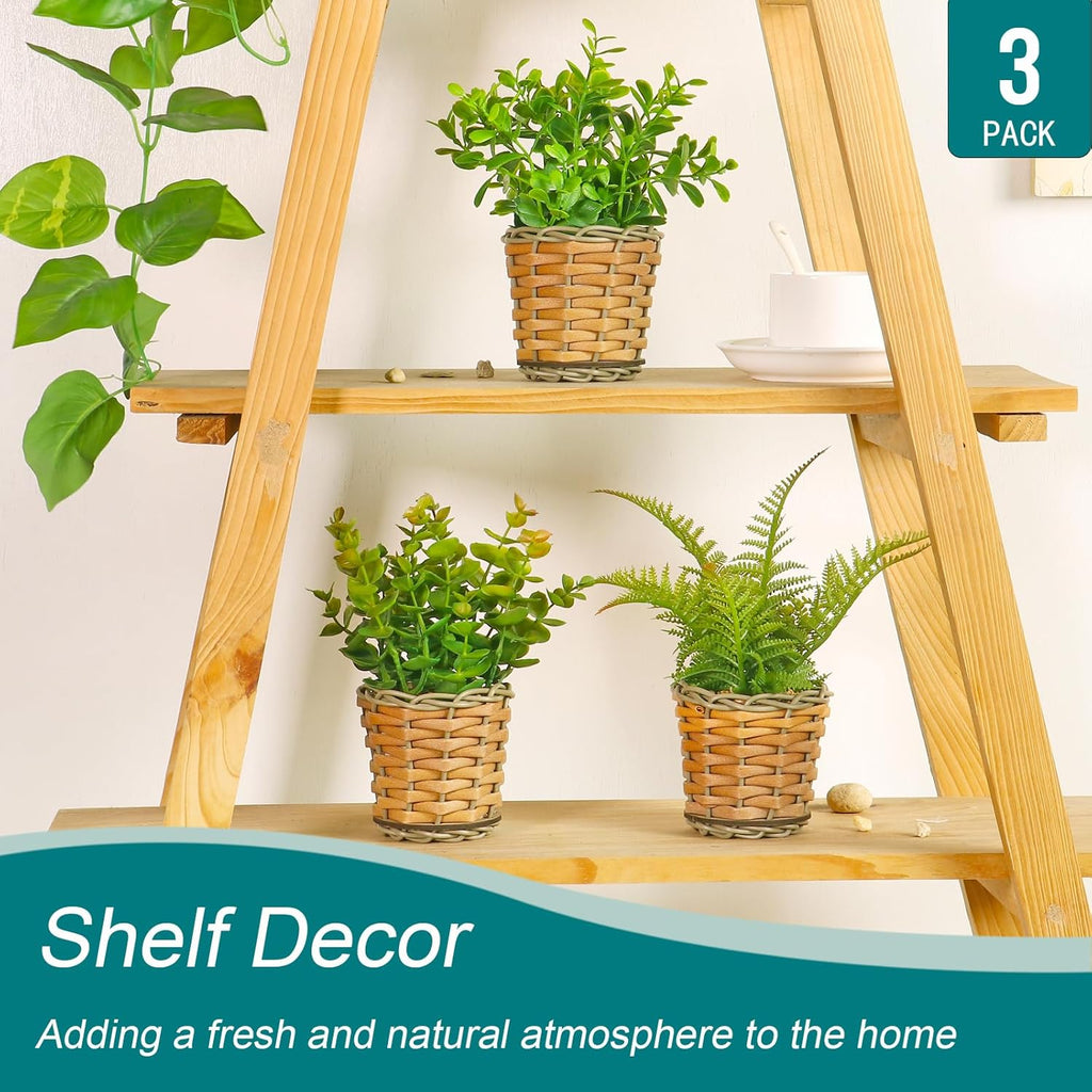 Small Fake Plants, 3 Pack Mini Potted Artificial Fern, Eucalyptus, Aglaia Odorata Plant in Rattan Pots, for Farmhouse, Home Decor, Office, Bathroom, Desk, Indoor & Outdoor