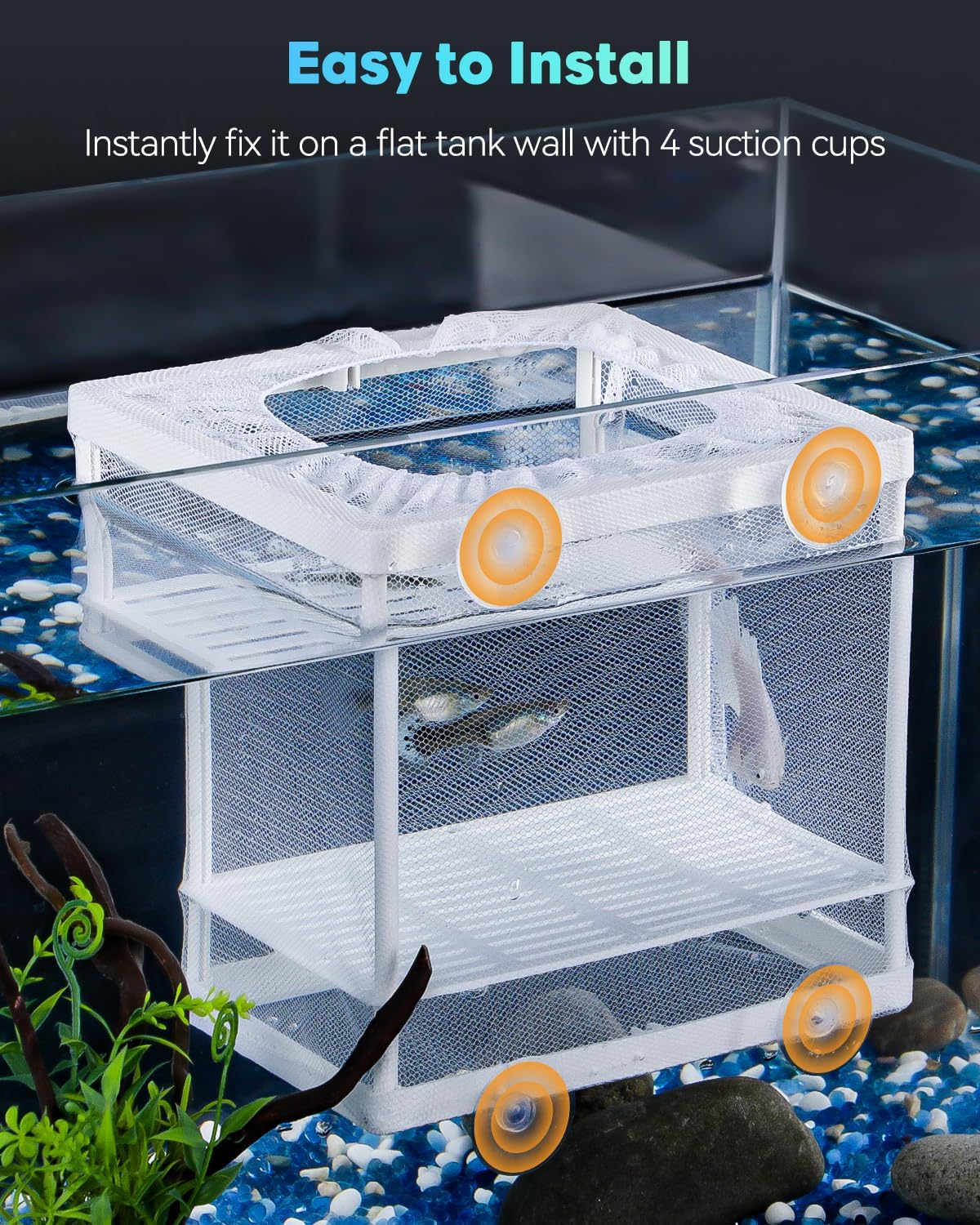 Pawfly Aquarium Breeder Net with Nylon Mesh & Suction Cups - Small Isolation Box for Baby Fish & Shrimp