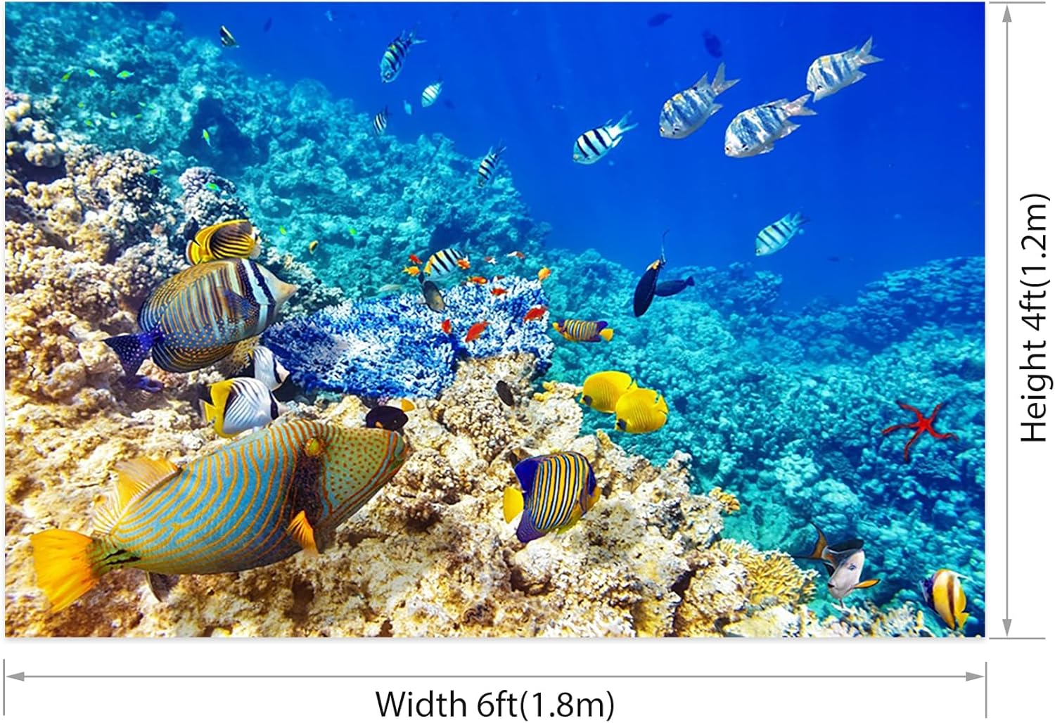AOFOTO 6x4ft Coral and Tropical Fish in The Sea Backdrop Underwater Seascape Photography Background Marin Aquarium Ocean Diving Atoll Reef Summer Holiday Travel Photo Studio Props Vinyl Wallpaper