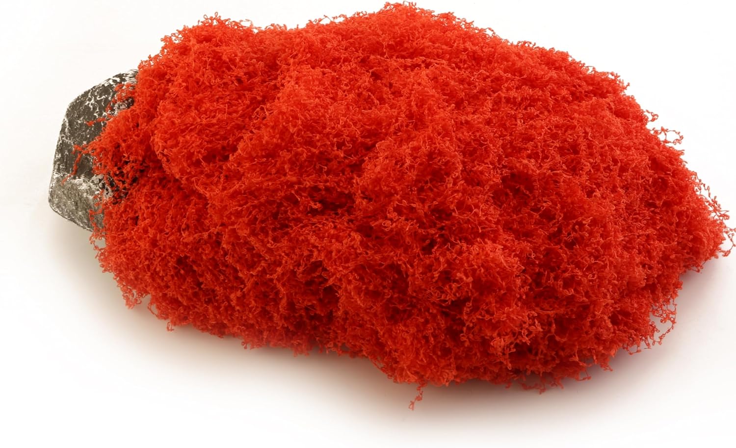 Artificial Green Moss is Used for Potted Plant Pavement, Vase Filling, Wedding Table Decoration, Glass Fish Tank, Model Landscape, Craft Moss and Fairy Garden DIY (Red 3.5oz)