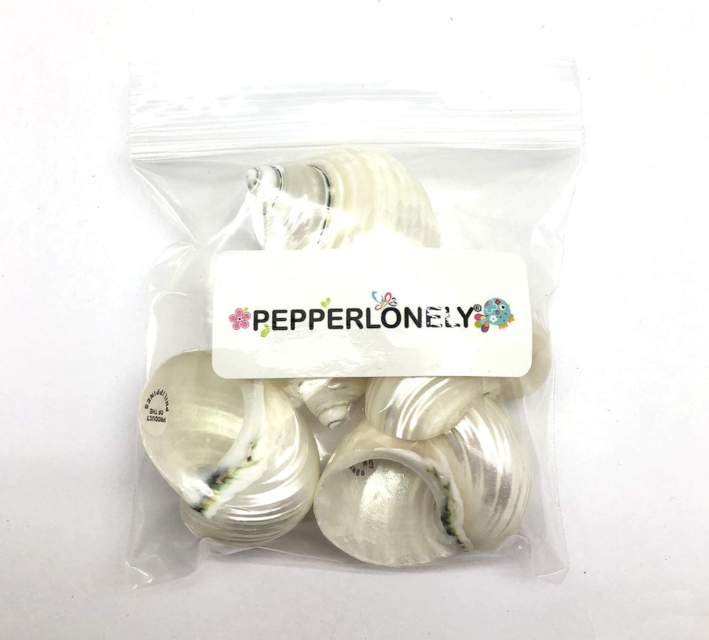 PEPPERLONELY 5PC Pearlized Silver Mouth Turbo, Hermit Crab Sea Shells, 1-1/2 Inch ~ 2 Inch