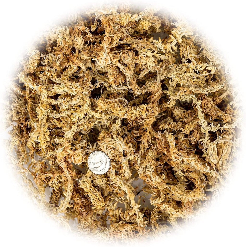 Premium New Zealand Sphagnum Moss by Gardenera - Organic Hand Mixed Long Fibered Sphagnum Moss Orchid - 4 Quart