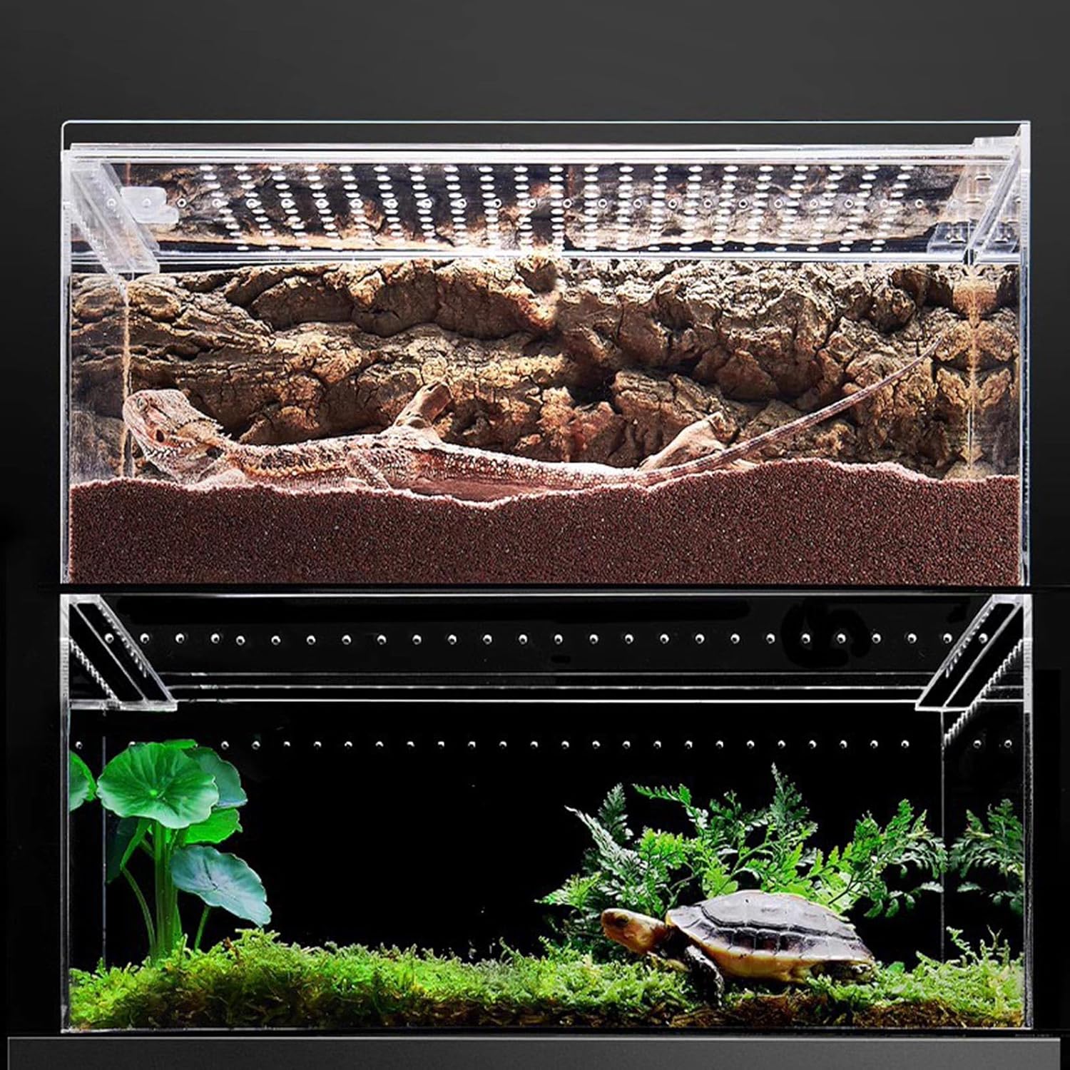 Reptiles Habitat Terrarium Breeding Box Acrylic Feeding Arboreal Enclosure Bearded Lizards Feeding