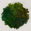 Preserved Reindeer Moss Natural Green DIY Kit Gardenning Art Wall Decor Florist Decor Easter Table Decor Wedding