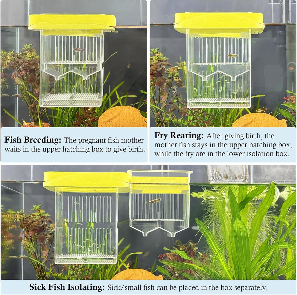 Floating Breeding Box for Fish Tank, Hatchery Incubator and Isolation Box Accessory, Fish Breeding Box with Divider for Baby Fish Shrimp Betta and Guppy