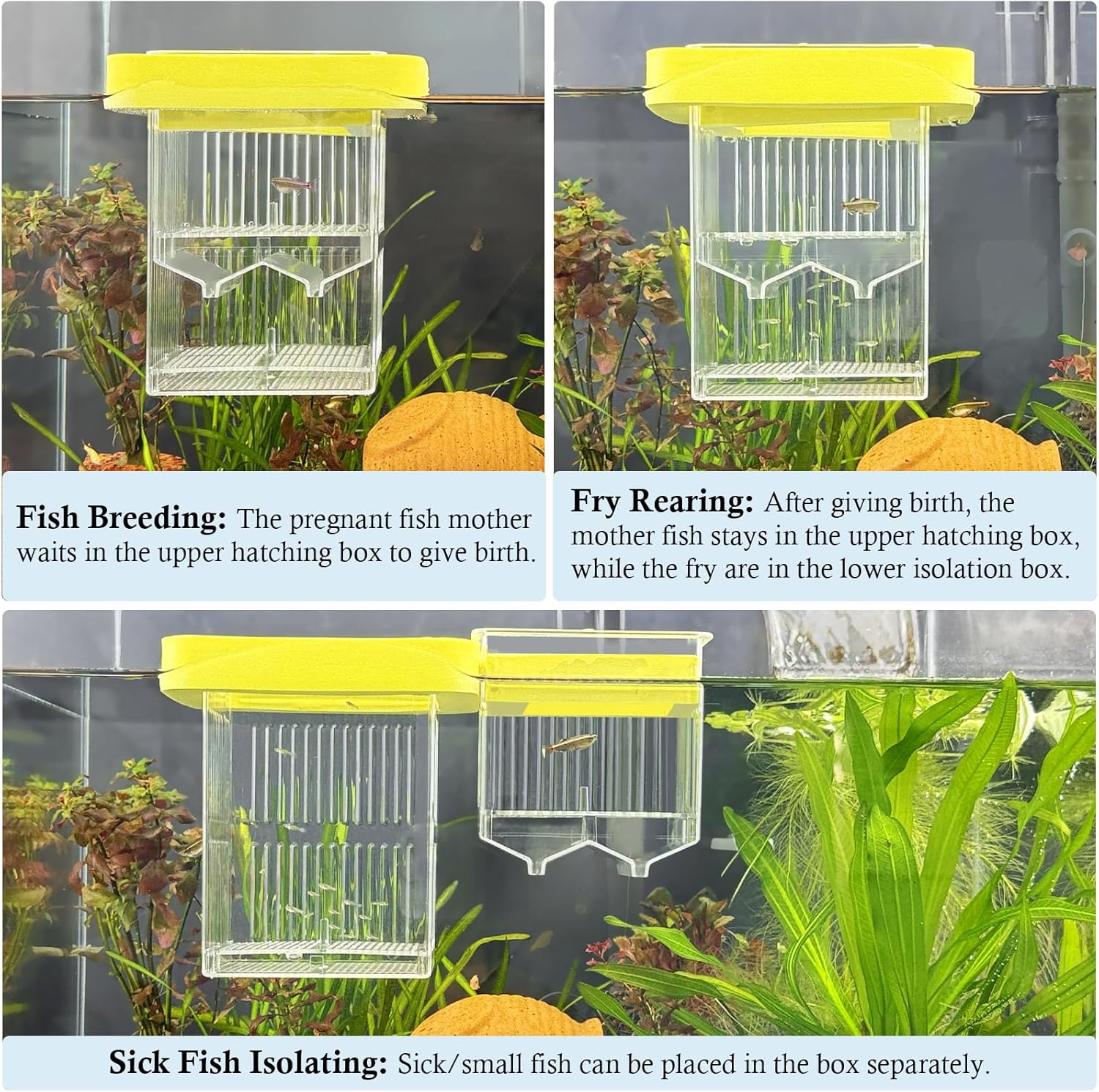 Floating Breeding Box for Fish Tank, Hatchery Incubator and Isolation Box Accessory, Fish Breeding Box with Divider for Baby Fish Shrimp Betta and Guppy