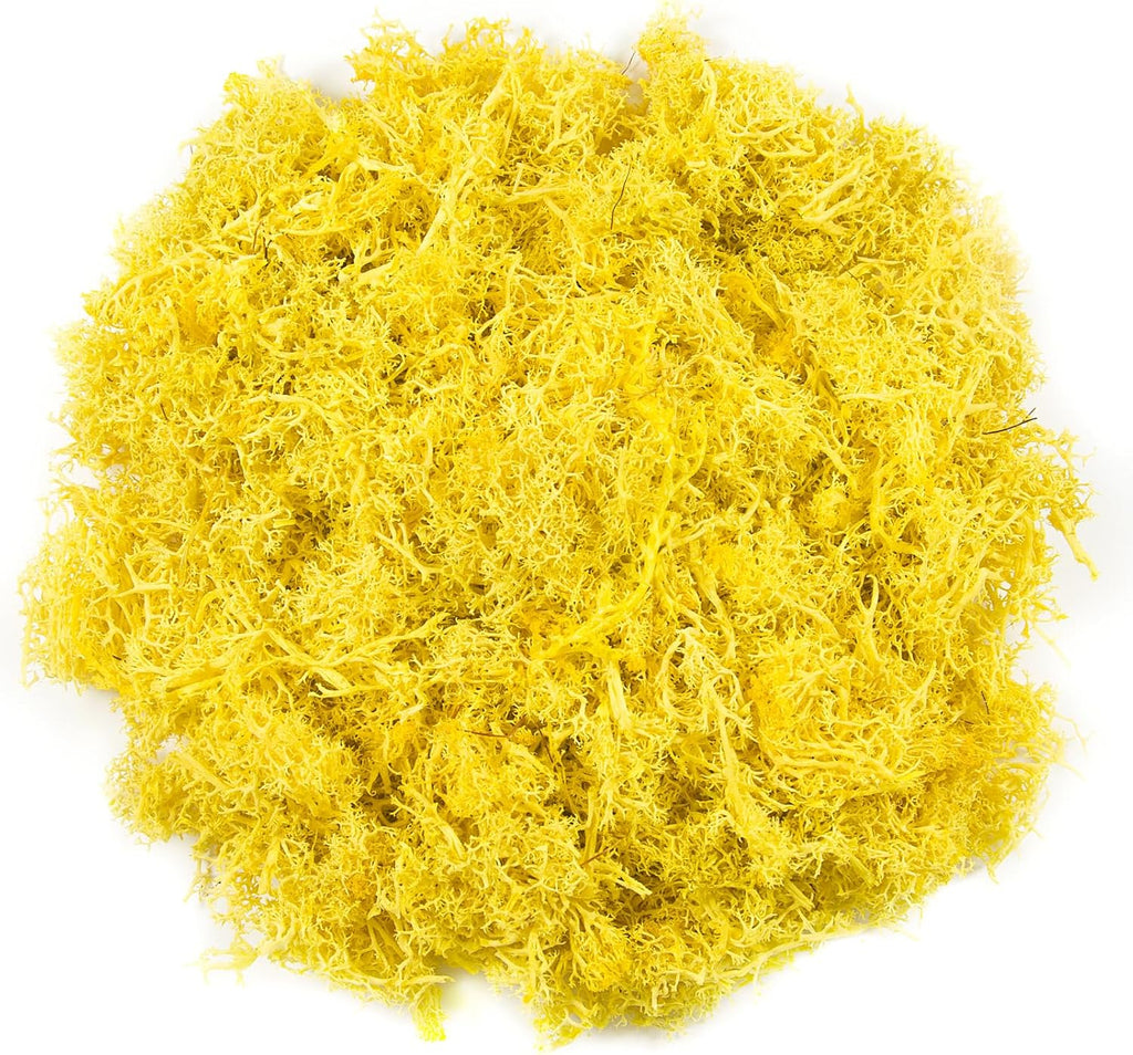 3.5 oz Artificial Moss for Plants Indoor, Fake Preserved Reindeer Moss for Centerpieces Home Decor Potted Plants Crafts Wedding Wall Decor(Yellow)