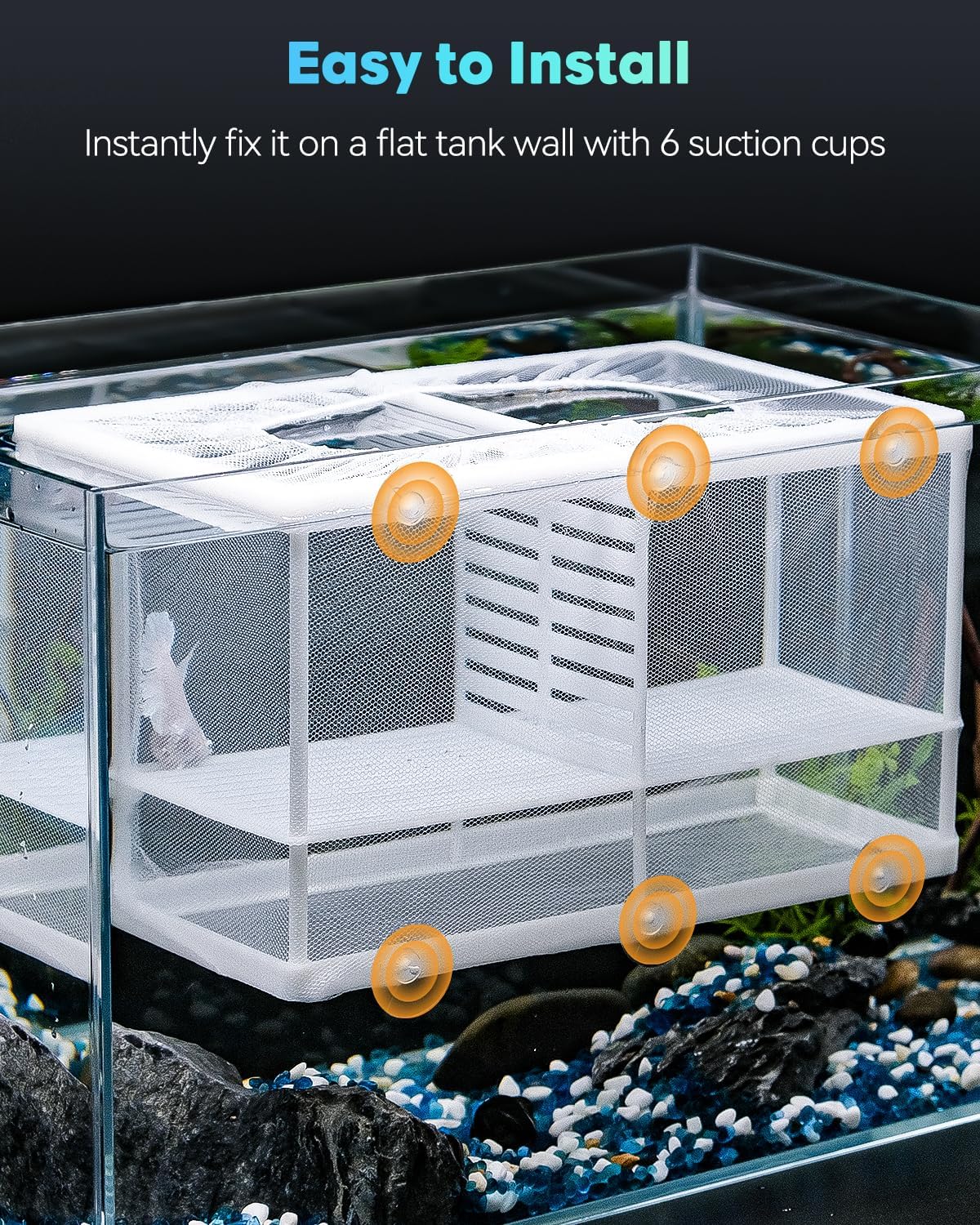 Pawfly Fish Tank Breeder Net Aquarium Fish Breeder Box with Nylon Mesh & Suction Cups, Fish Separation Net Large Isolation Box, Fish Fry Hatchery Incubator Hatching Box for Baby Fish Shrimp Betta