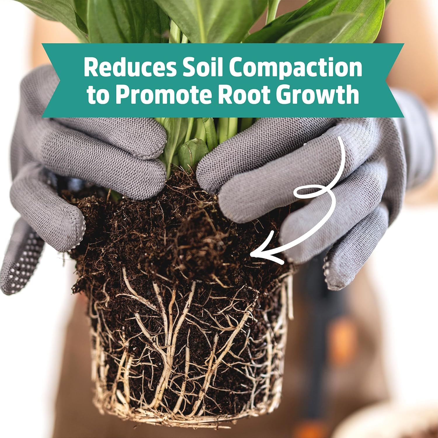 Back to The Roots 100% Organic Perlite | Made in The USA | Premium Nutrition for Indoor and Outdoor Plants