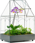 H Potter Glass Terrarium Wardian Case Succulent Planter Container for Plants Flowers Orchids Foliage and More WAR117