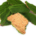Decorative Moss for Crafts, Artificial Fake Moss Tree Bark, Realistic Fake Mosses for Wedding Christmas Fairy Gardens Terrariums Floral Arrangements(Natural Green, 100g)
