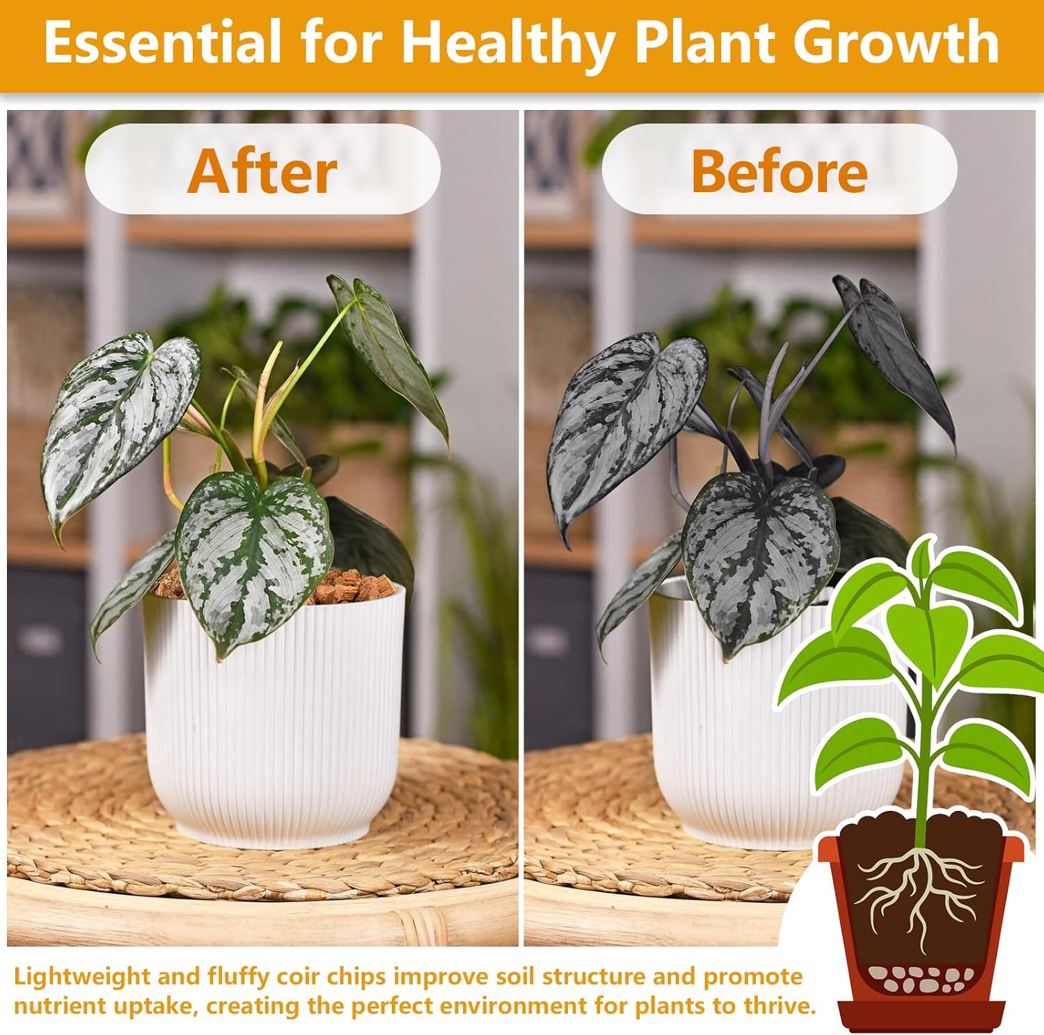 Legigo 2 Pack Coco Coir Chips for Plants- 2.2 LB 100% Organic Coconut Chips Brick Potting Mix with Low EC & PH Balance, Coconut Husk Substrate Coco Husk Mulch for Garden, Planting, Orchid and Soil Mix