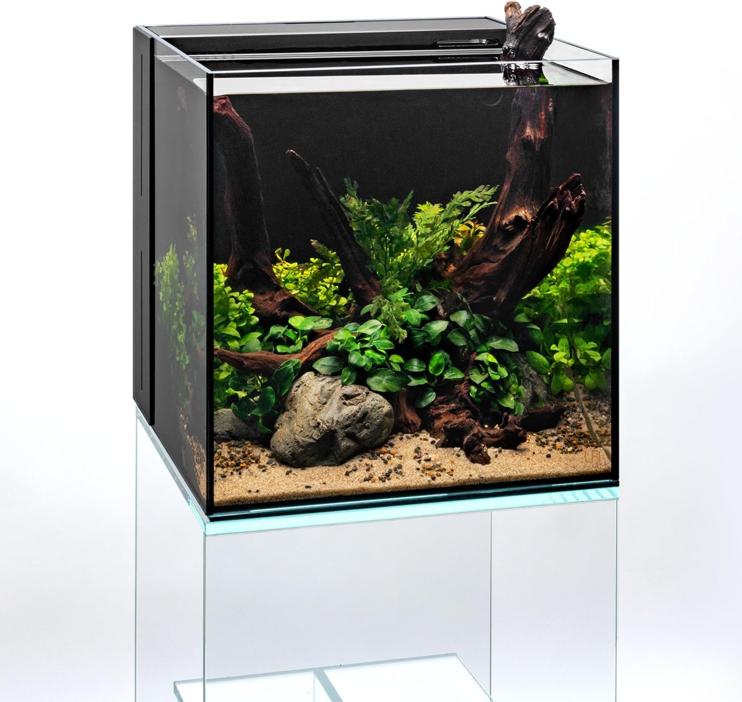 Ultum Nature Systems Driftwood - Malaysian Drift Wood for Fish Tank, Planted Tank, Terriarium, Paludarium - Versatile Natural Driftwood Decor, Events Wood Centerpiece - Malaysian, Large (16-20")