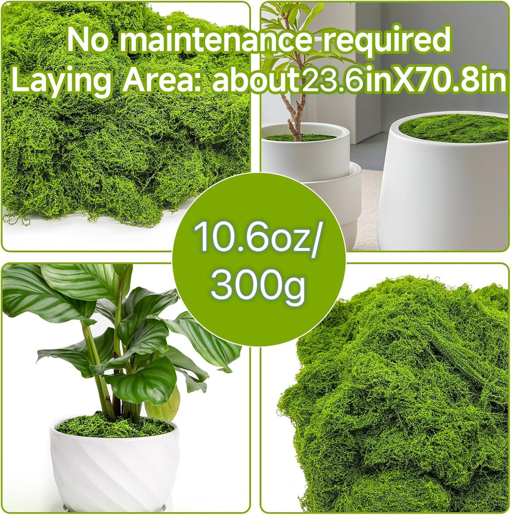 Fake Green Moss for Potted Plants Indoor, 10.6oz Artificial Moss for Crafts, Faux Moss Decor for Fairy Garden, DIY Decorative, Model Making, Walls, Glass Containers, Home