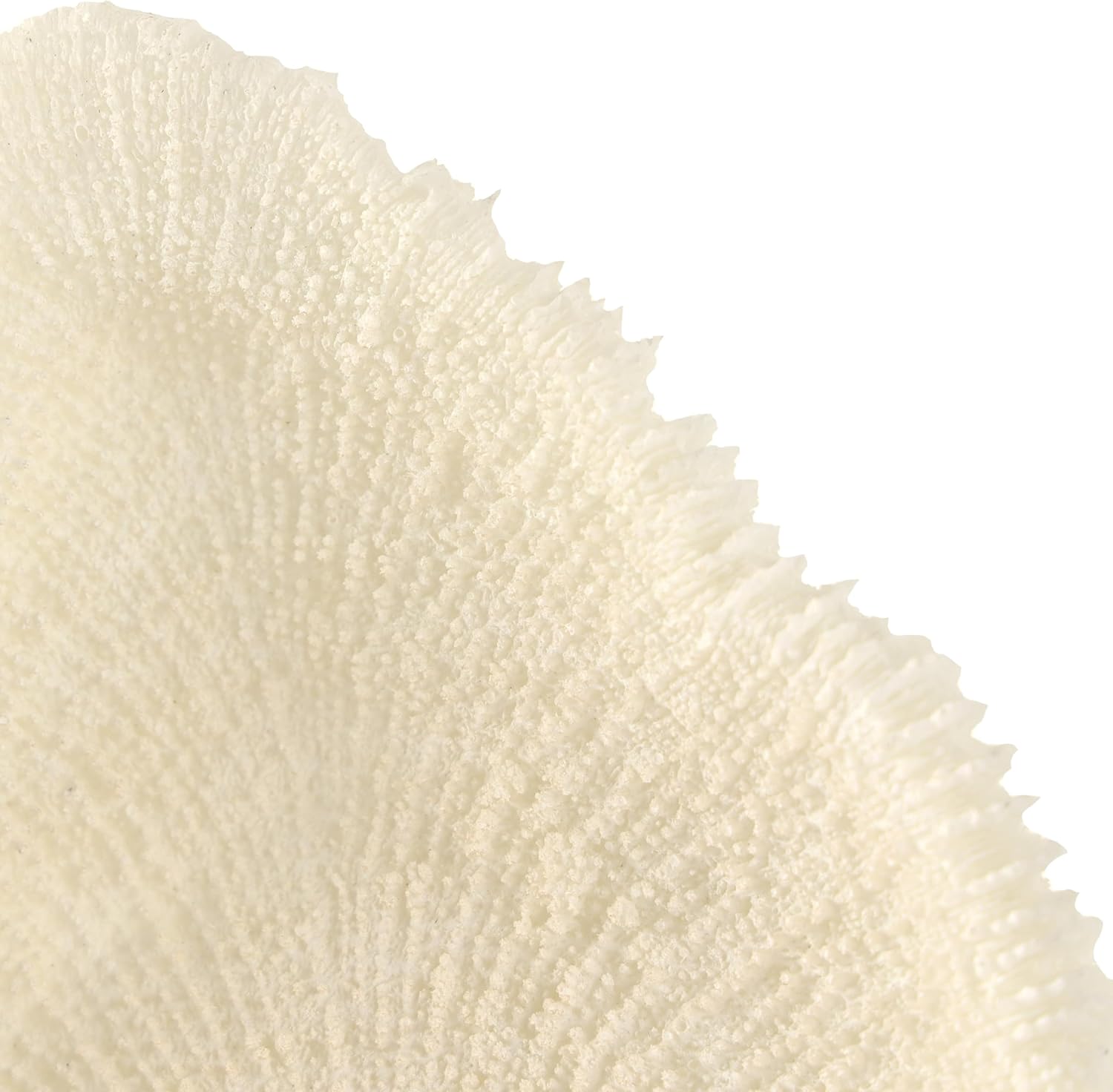 Deco 79 Polystone Coral Decorative Sculpture Abstract Textured Home Decor Statue with Gray Stand and Acrylic Base, Accent Figurine 7" x 5" x 19", Cream