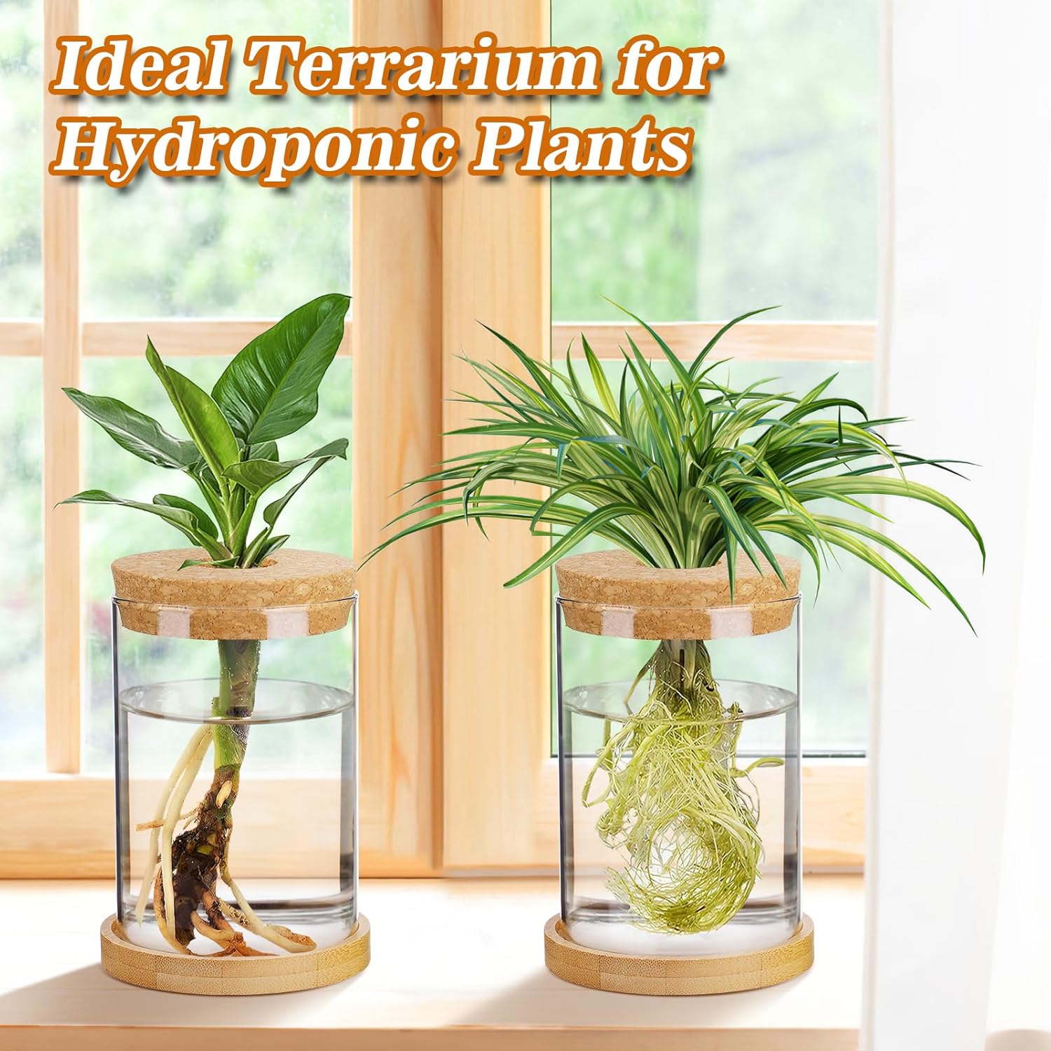 Biggun Plants Propagation Station - 2Pcs Desktop Plant Terrarium Glass Hydroponic Vases, Water Plant Jars, Gardening Gifts for Women Mom Plant Lovers (Thick Straight Shape, Separated Tray Style)