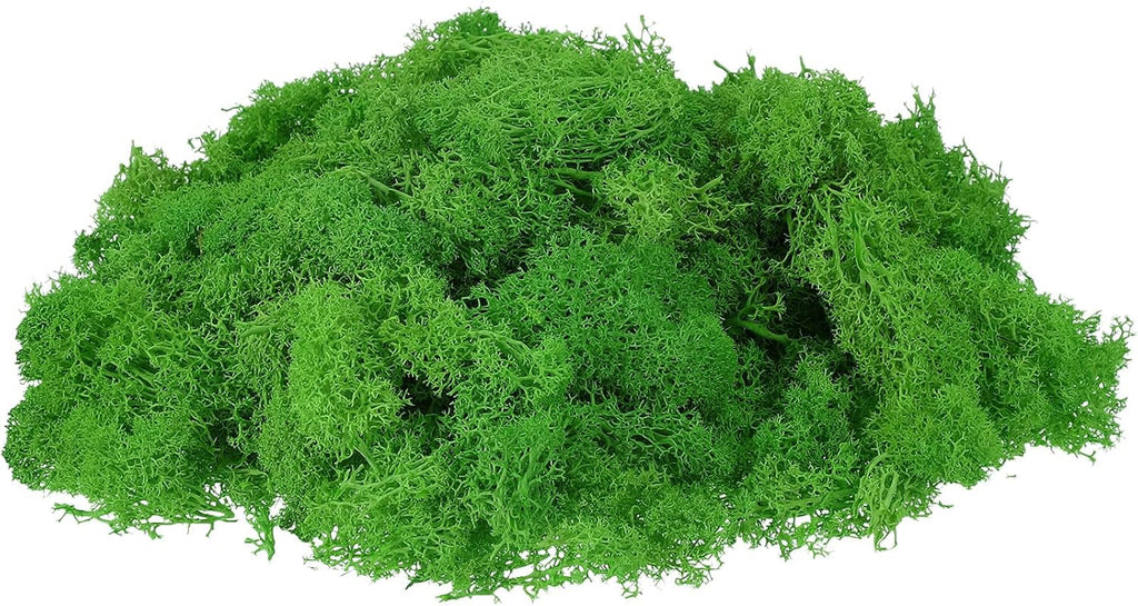 uxcell Preserved Reindeer Moss, 7oz Fake Moss for Crafts Artificial Dried Moss for Decoration Terrariums Potted Plants, Green