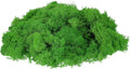 uxcell Preserved Reindeer Moss, 7oz Fake Moss for Crafts Artificial Dried Moss for Decoration Terrariums Potted Plants, Green