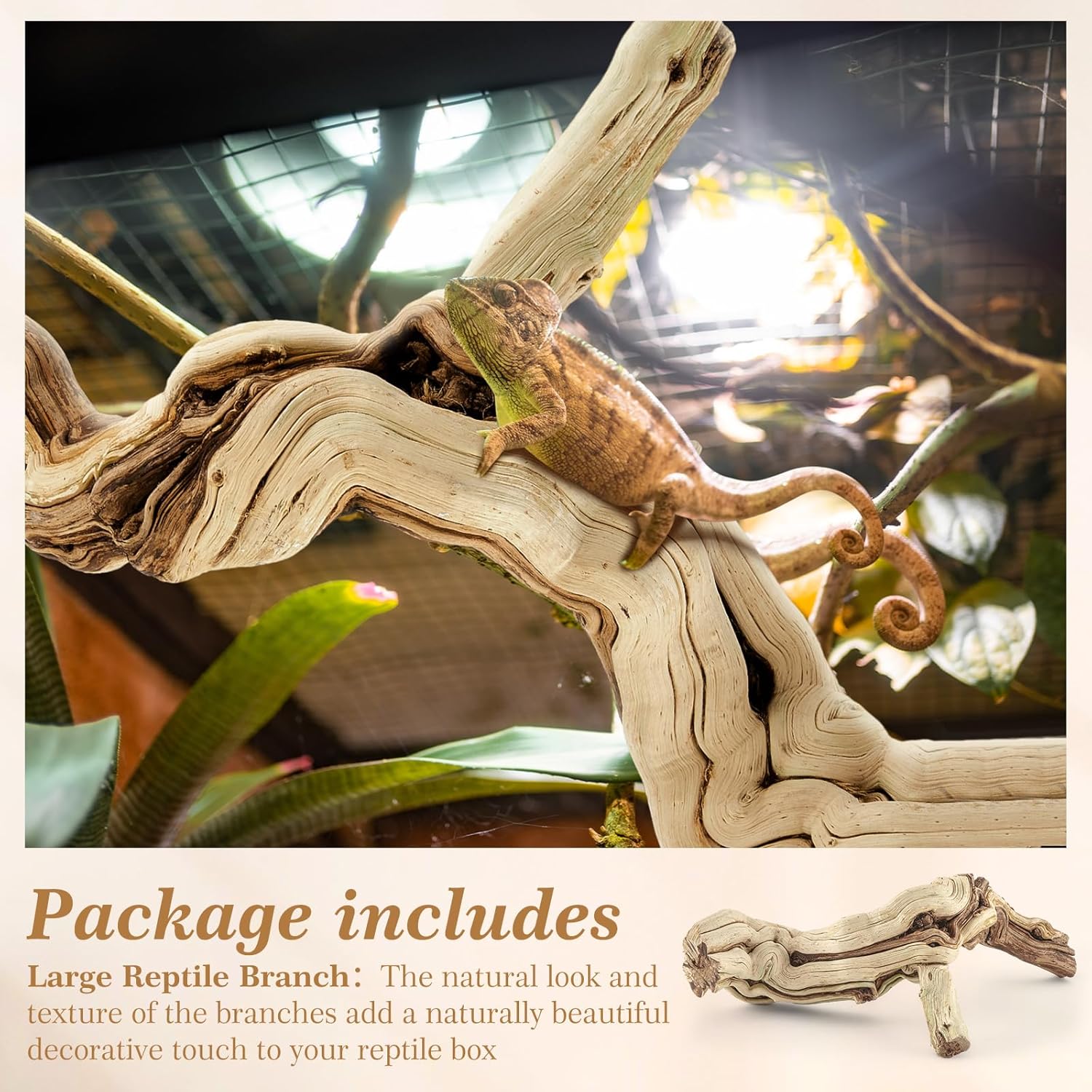 Janinka 14-17" Length Large Wood Reptile Branch for Bearded Dragon Driftwood Reptile Climbing Habitat Decoration for Terrarium Tree Trunk Ornament Gecko Frog Chameleon Spider