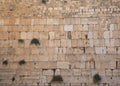 8x6ft Fabric Western Wall Jerusalem Cityscape Backdrop for Photography Ancient Jerusalem Israel Wailing Wall Background for Party Decoration Photo Studio Props