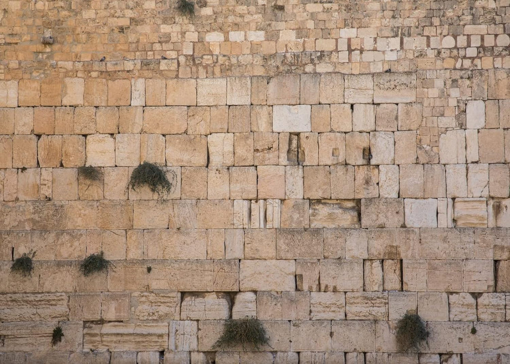 9x6ft Fabric Western Wall Jerusalem Cityscape Backdrop for Photography Ancient Jerusalem Israel Wailing Wall Background for Party Decoration Photo Studio Props