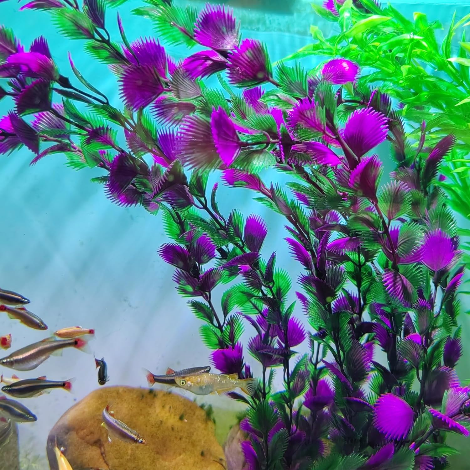 20.47 Inch Tall Aquarium Plants – Large Lifelike Artificial Fish Tank Decorations, 2 Pcs Fish Tank Plants Plastic，Durable & Safe for Freshwater/Saltwater Aquariums (Purple (Style C))