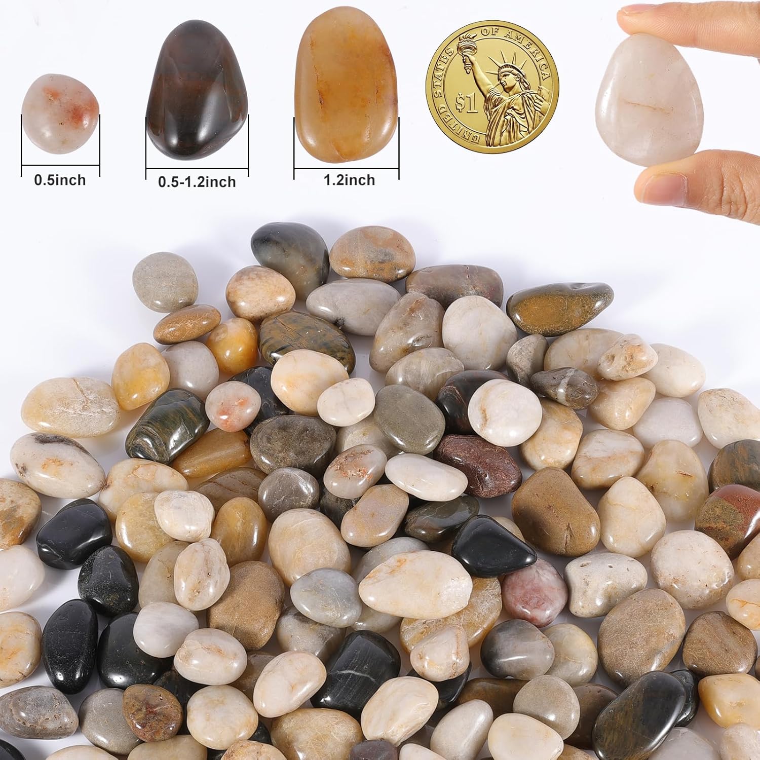 River Rocks Decorative Pebbles - 2.2lb Mixed Color Polished Gravel for Garden Landscaping, Indoor Plants, Aquariums, Succulents, Vases, Fish Tank, Outdoor Flower Beds 0.4-1.2 Inch Ornamental Stones