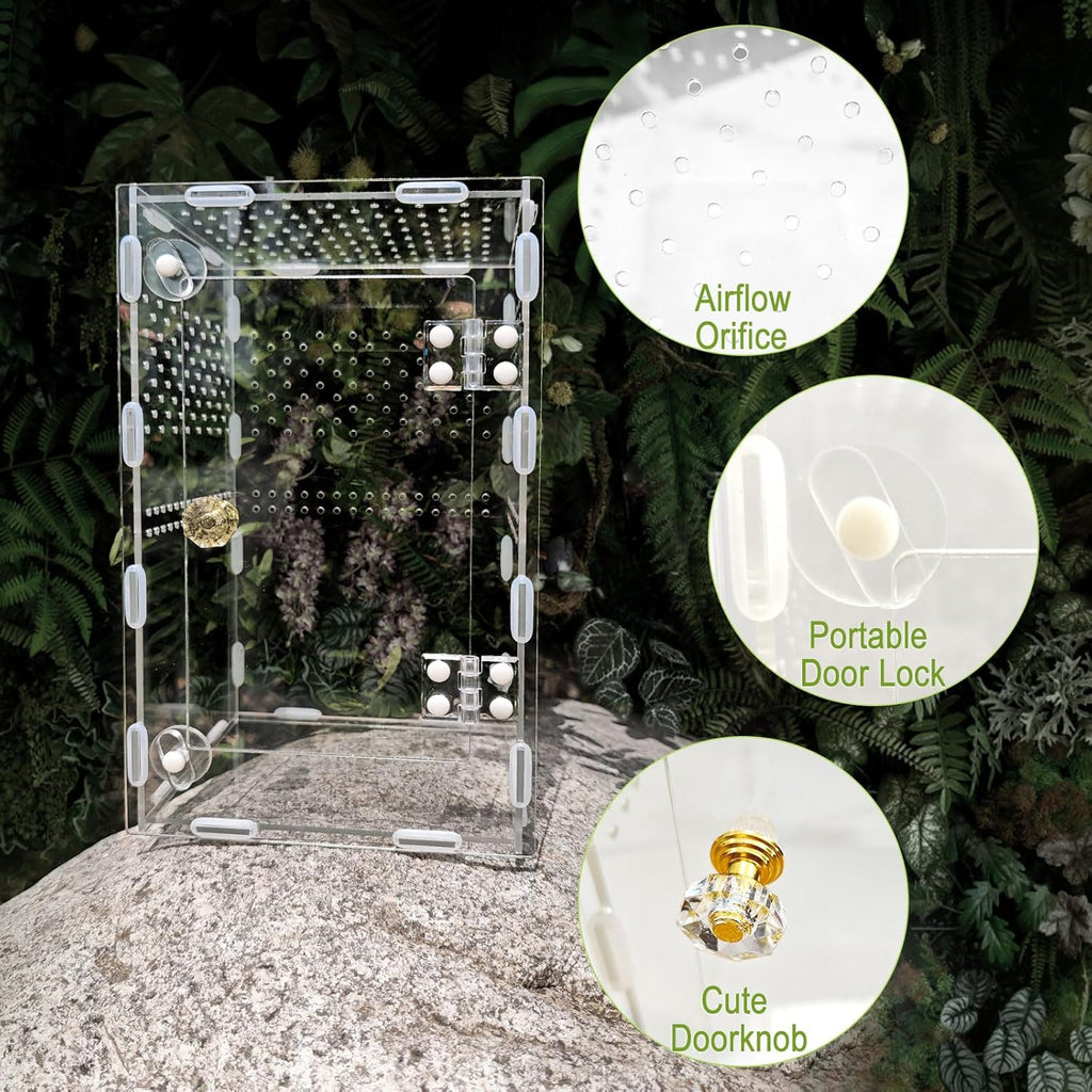 Acrylic Jumping Spider Enclosure Box: 10x6x6 Inch Transparent Habitat with Ventilation Holes, Escape-Proof Terrarium for Reptile Pet, Easy to Clean & Observe