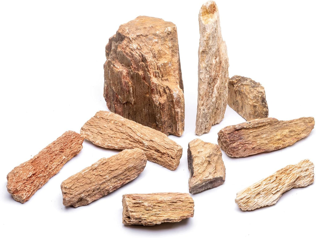 SubstrateSource Natural Stone for Aquarium, Terrarium, Paludarium, Reptile Enclosures - Set of Decorative Rocks for Landcapes, Aquascaping, Fish Tank Decor (Burmese Petrified Wood Stone, 10 lbs, 3-7")