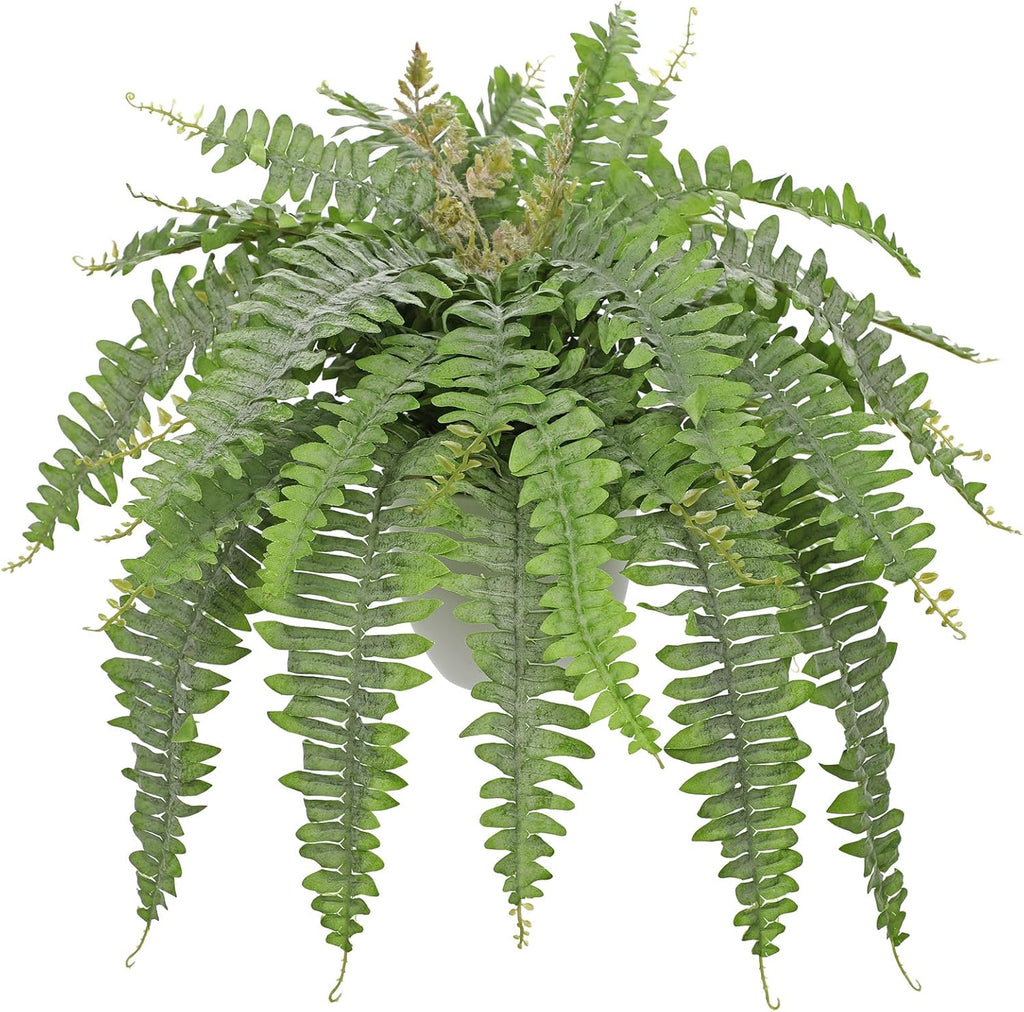 Hollyone Artificial Fern Plants in White Pot 25.5" Medium Artificial Boston Fern 31 Leaves for Outdoors & Indoor Faux Potted Plants Fake Ferns Bush Plant Patio Garden Farmhouse Porch Decor Dusty Green