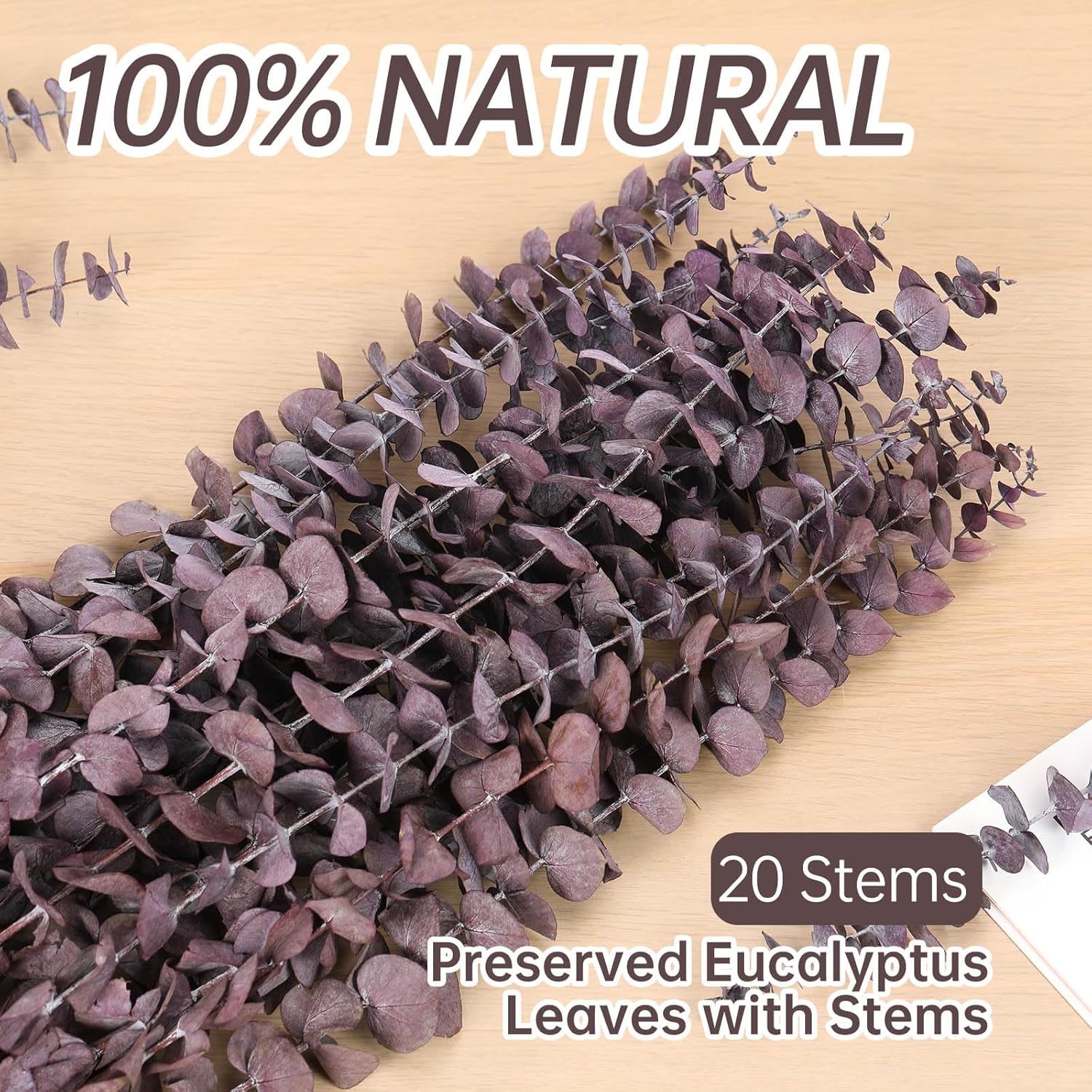 20 Pcs Dried Eucalyptus Stems, 17'' Natural Real Live Purple Eucalyptus Leaves Branches Hanging Shower, Preserved Dried Plants for SPA Home Fragrance Bathroom Table Vase Decor