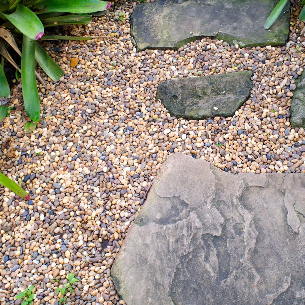 5lbs Aquarium Gravel, 1/4" Fish Tank Gravel Natural River Rocks Succulent Cactus Pea Gravel for Plants, Pebbles for Gardening, Flower Pots, Vase Fillers, Indoor Water Fountains, Landscaping