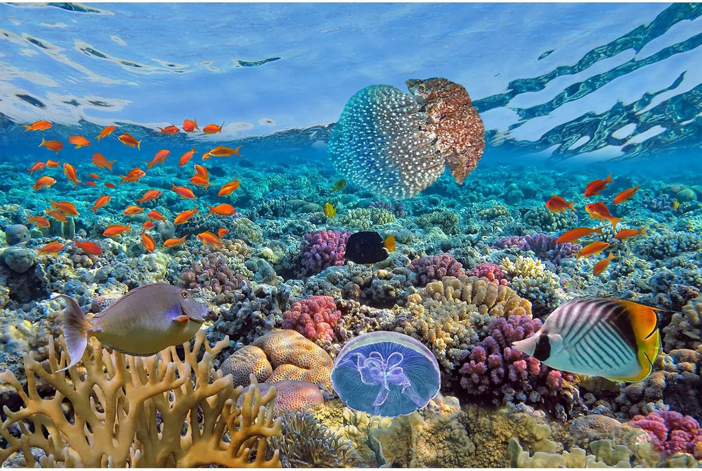 Under The Sea Aquarium Background Colorful Coral Reefs Marine Life Fish Tank Background Deep Blue Sea Tropical Fish Terrarium Background Seabed Aquascape Theme Aquarium Backdrop Vinyl 30x18in