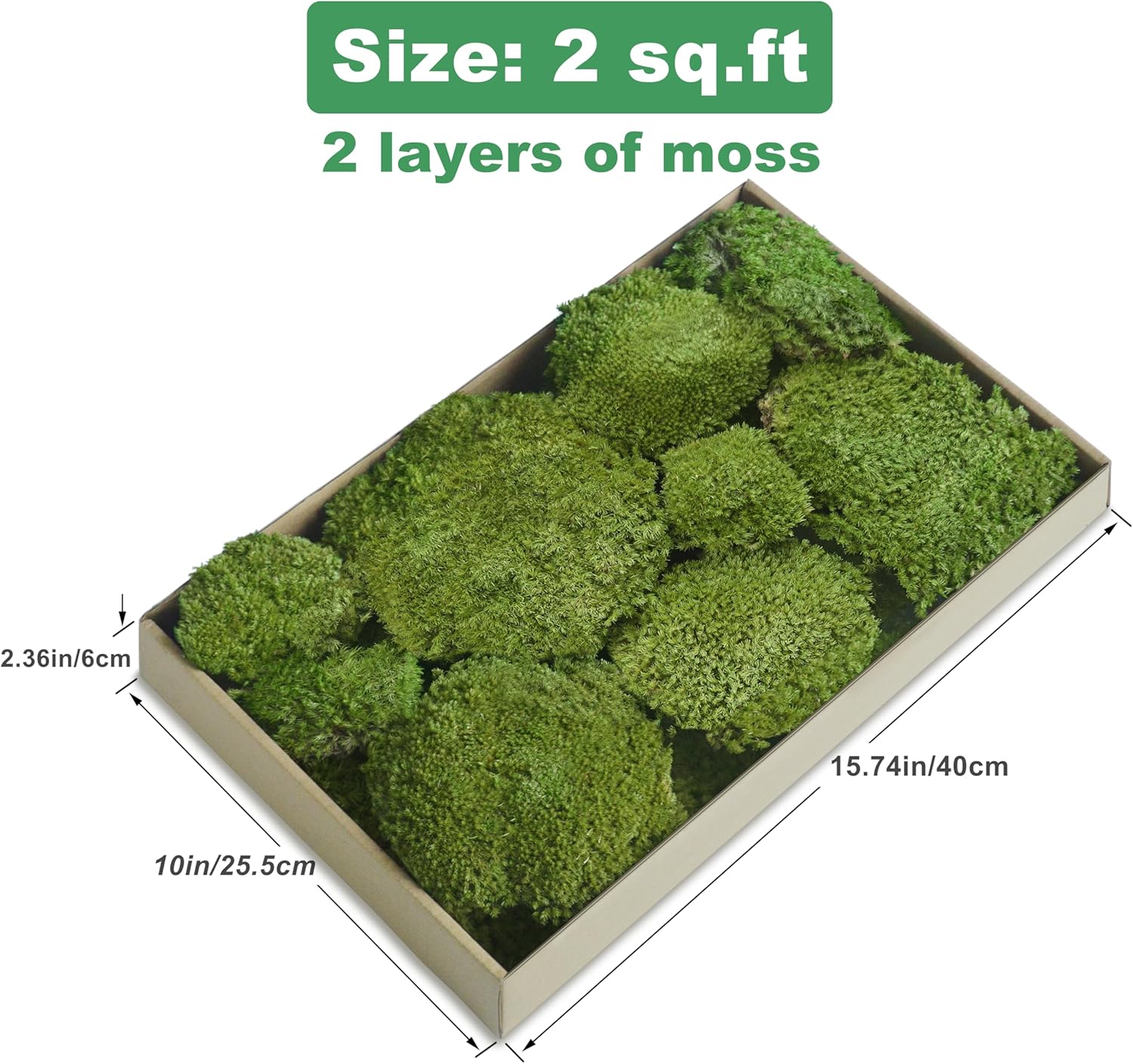 TurelinnG Preserved Moss Decor - Real Forest Moss, Moss for Crafts, Flexible for DIY Crafts, Home, Wall, Terrarium, Art Projects(Natural Green 2 sq.ft)