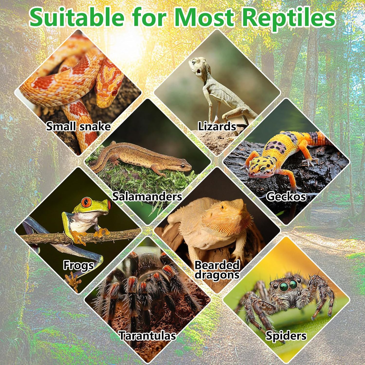 kathson 4 PCS Reptile Corner Branch Resin Snake Climb Tree Branch Decor Reptile Branches for Climbing with Suction Cups Frog Terrarium Plants for Lizard Bearded Dragons Gecko
